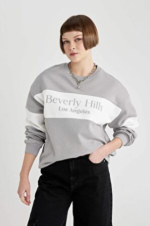 DeFacto Relax Fit Bisiklet Yaka Baskılı Kalın Sweatshirt C1925AX23WNGR52