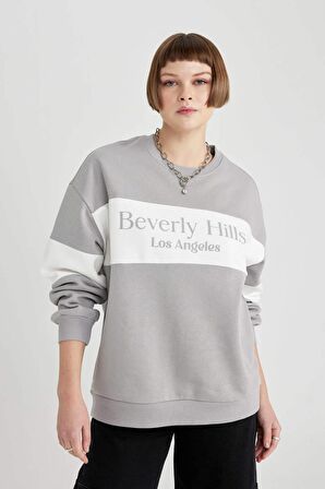 DeFacto Relax Fit Bisiklet Yaka Baskılı Kalın Sweatshirt C1925AX23WNGR52