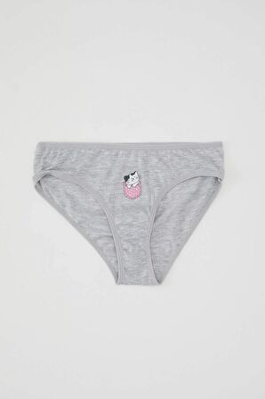 DeFacto Kız Çocuk 3'lü Slip Külot B8377A824SPYL267