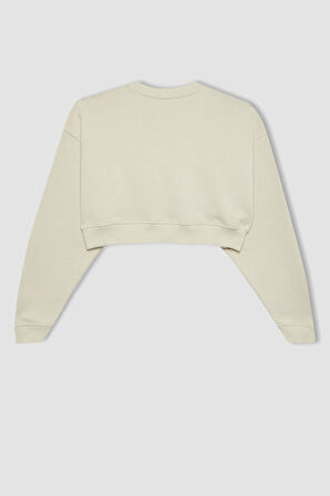 DeFacto Coool Crop Basic Sweatshirt C2116AX24SPER117