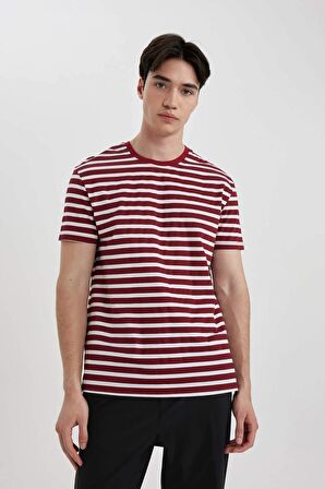 DeFacto Regular Fit Bisiklet Yaka Çizgili Kısa Kollu Üst B8684AX24SPBR114