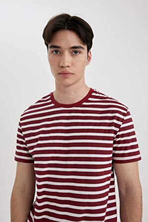 DeFacto Regular Fit Bisiklet Yaka Çizgili Kısa Kollu Üst B8684AX24SPBR114