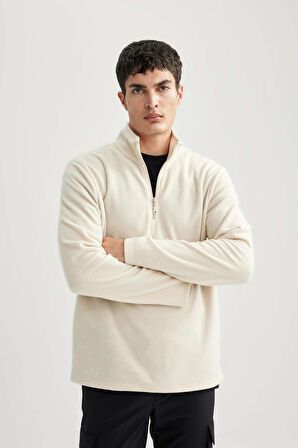 DeFacto Regular Fit Dik Yaka Polar Sweatshirt Y3996AZ23AUER117
