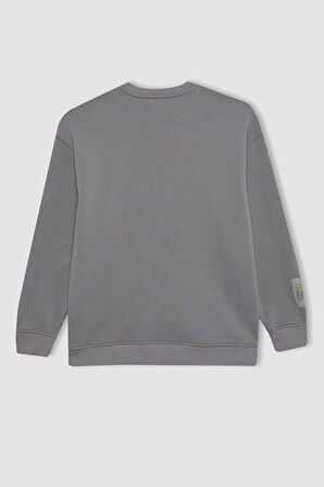 DeFacto Regular Fit Bisiklet Yaka Baskılı Uzun Kollu Sweatshirt Tunik C0118AX24SPGR394