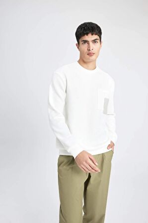 DeFacto Regular Fit Bisiklet Yaka Sweatshirt B9196AX24SPWT32