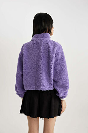 DeFacto Coool Oversize Fermuarlı Dik Yaka Basic Düz Pelüş Sweatshirt B9836AX23WNPR262