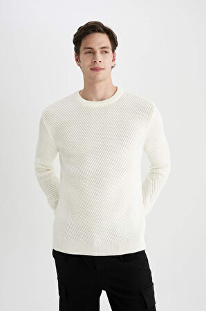 DeFacto Standart Fit Normal Kesim Bisiklet Yaka Triko Kazak C0048AX24AUER100