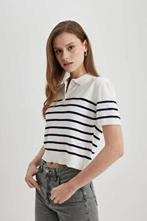 DeFacto Regular Fit Polo Yaka Çizgili Kısa Kollu Triko Tişört C4402AX24SMER105