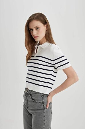 DeFacto Regular Fit Polo Yaka Çizgili Kısa Kollu Triko Tişört C4402AX24SMER105