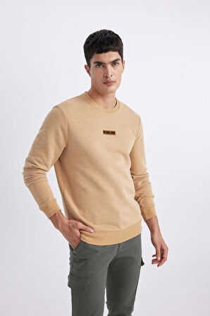 DeFacto Regular Fit Bisiklet Yaka Baskılı Sweatshirt B4156AX23WNBG275