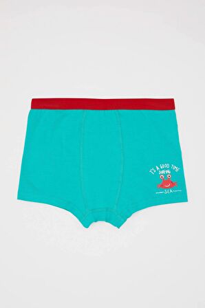 Erkek Çocuk 3'lü Boxer