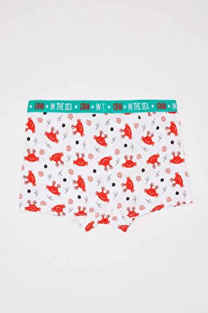 Erkek Çocuk 3'lü Boxer