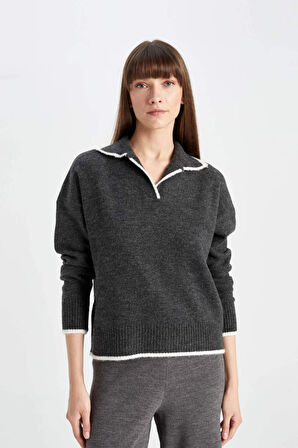 DeFacto Regular Fit Yumuşak Dokulu Polo Yaka Triko Kazak A3868AX24WNAR104