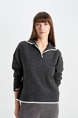 DeFacto Regular Fit Yumuşak Dokulu Polo Yaka Triko Kazak A3868AX24WNAR104