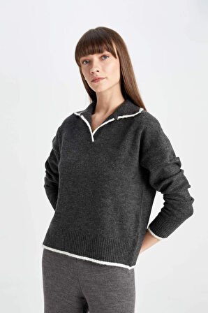 DeFacto Regular Fit Yumuşak Dokulu Polo Yaka Triko Kazak A3868AX24WNAR104