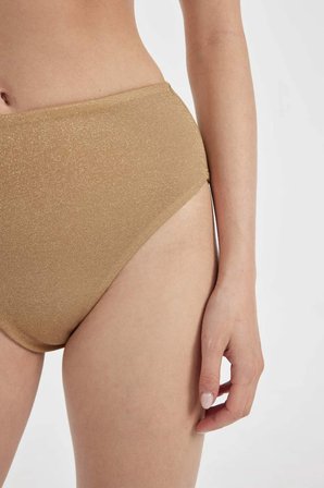DeFacto Regular Fit Parlak Kumaş Yüksek Bel Bikini Altı-Fall in Love C3180AX24SMYL275