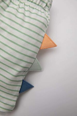 DeFacto Erkek Bebek Çizgili Ribana Şort C8327A524HSER105