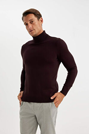 DeFacto Slim Fit Balıkçı Yaka Kazak R1124AZ24WNBR46