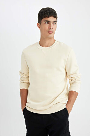 DeFacto Regular Fit Bisiklet Yaka Kalın Basic Düz Sweatshirt T3777AZ24AUER109