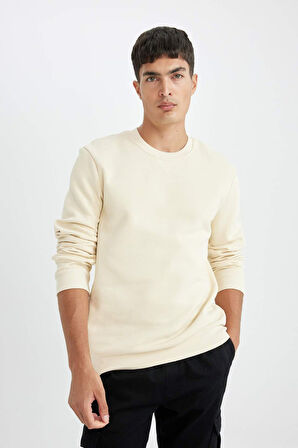 DeFacto Regular Fit Bisiklet Yaka Kalın Basic Düz Sweatshirt T3777AZ24AUER109