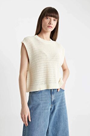 DeFacto Relax Fit Bisiklet Yaka Triko Süveter D4266AX24SMER105