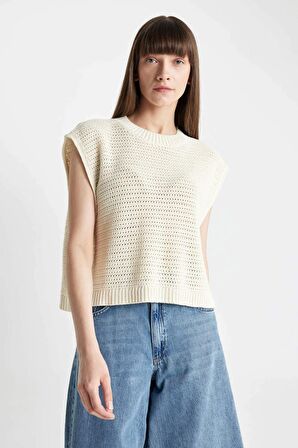 DeFacto Relax Fit Bisiklet Yaka Triko Süveter D4266AX24SMER105