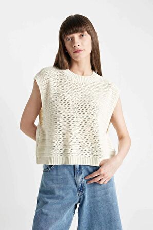 DeFacto Relax Fit Bisiklet Yaka Triko Süveter D4266AX24SMER105