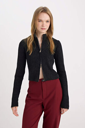 DeFacto Slim Fit Dar Kesim Yarım Balıkçı Yaka Triko Hırka A5607AX24WNAR61