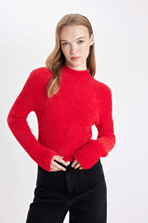 DeFacto Coool Regular Fit Yarım Balıkçı Yaka Triko Kazak A2013AX24CWRD332