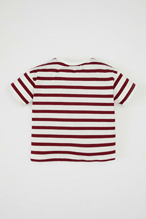 Erkek Bebek Bisiklet Yaka Çizgili Kısa Kollu Tişört