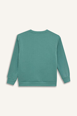 DeFacto Erkek Çocuk Bisiklet Yaka Baskılı Sweatshirt D3027A824WNGN382