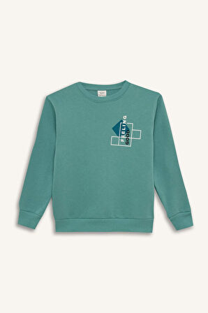 DeFacto Erkek Çocuk Bisiklet Yaka Baskılı Sweatshirt D3027A824WNGN382