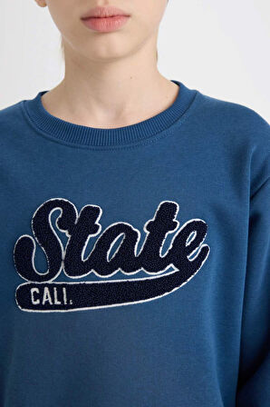 DeFacto Erkek Çocuk Lacivert Bisiklet Yaka Nakışlı Sweatshirt D3053A824WNIN103