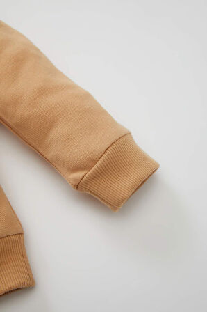 DeFacto Erkek Bebek 2'li Takım Renk Bloklu Uzun Kollu İçi Yumuşak Tüylü Sweatshirt Üst Jogger Eşofman Altı Y1410A224AUBG269