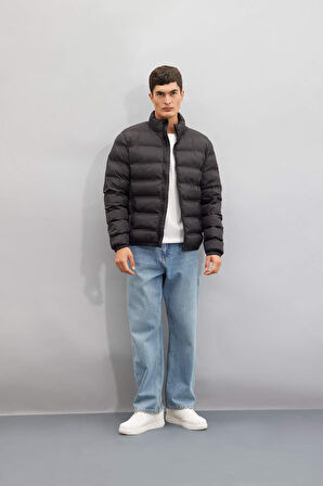 Regular Fit Dik Yaka Fermuarlı Çift Cepli Mevsimlik Hafif Şişme Mont