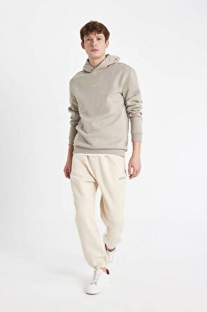 DeFacto Regular Fit Kapüşonlu Baskılı Sweatshirt C6131AX24AUKH475