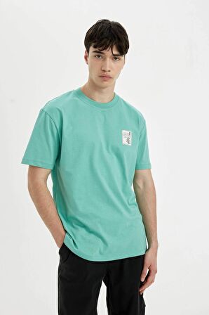 DeFacto Regular Fit Bisiklet Yaka Baskılı Kısa Kollu Tişört C2730AX24SMGN1221