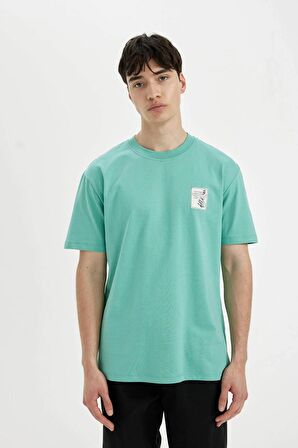 DeFacto Regular Fit Bisiklet Yaka Baskılı Kısa Kollu Tişört C2730AX24SMGN1221