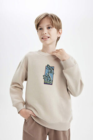 DeFacto Erkek Çocuk Oversize Geniş Kalıp Bisiklet Yaka Baskılı Sweatshirt D5678A824WNER37