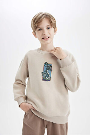 DeFacto Erkek Çocuk Oversize Geniş Kalıp Bisiklet Yaka Baskılı Sweatshirt D5678A824WNER37