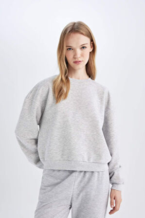 DeFacto Regular Fit Bisiklet Yaka Kalın Kumaş Basic Sweatshirt D6645AX24WNGR256