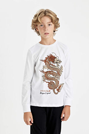 DeFacto Erkek Çocuk Pijama Takımı Baskılı Uzun Kollu Üst Uzun Alt D5216A824AUWT34