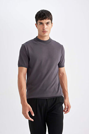 DeFacto Standart Fit Bisiklet Yaka Triko Kısa Kollu Tişört D6202AX24HSAR4