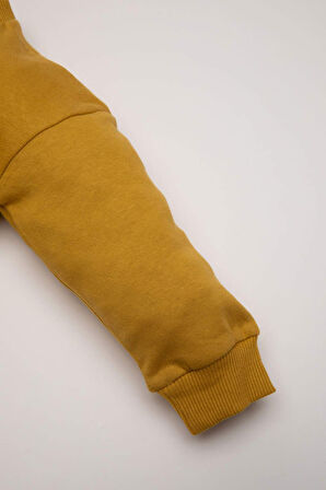 DeFacto Erkek Bebek 2'li Takım Baskılı Bisiklet Yaka Sweatshirt Beli Lastikli Eşofman Altı D5938A524WNYL310