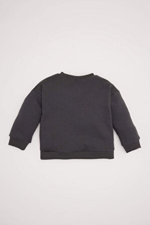 DeFacto Kız Bebek Bisiklet Yaka Fiyonklu Sweatshirt D6267A524WNAR1