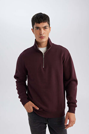 DeFacto 3 İplik Pamuklu Şardonlu İçi Polarlı Comfort Regular Fit Rahat Kalıp Dik Yaka Fermuarlı Kalın Sweatshirt D9067AXNSBR150