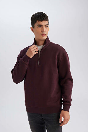 DeFacto 3 İplik Pamuklu Şardonlu İçi Polarlı Comfort Regular Fit Rahat Kalıp Dik Yaka Fermuarlı Kalın Sweatshirt D9067AXNSBR150