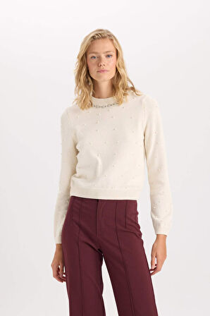 DeFacto Regular Fit Bisiklet Yaka Taşlı İncili Triko Kazak D8519AX24WNER105