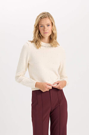 DeFacto Regular Fit Bisiklet Yaka Taşlı İncili Triko Kazak D8519AX24WNER105