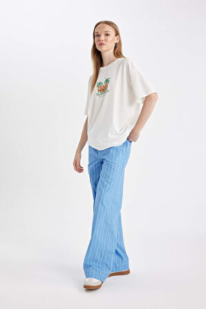 DeFacto Coool Straight Fit Çizgili Normal Bel Poplin Pantolon D4855AX24HSBE86